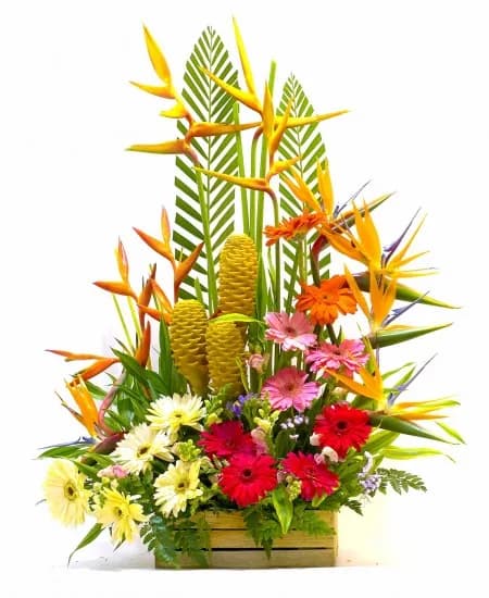 ARREGLO FLORAL DE TROPICALES Y GERBERAS