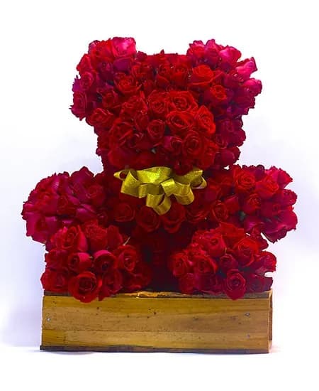 OSO DE ROSAS