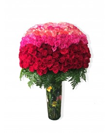 AFR500 Hermoso Topiario de 500 Rosas 