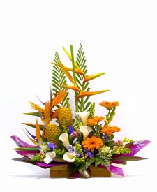 AFR83N Arreglos de Gerberas y Flores Tropicales 